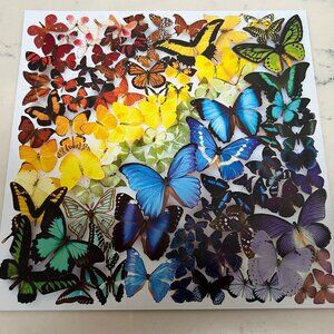 SALE!  Beautiful and Fun!  Butterflies Puzzle 500 Piece